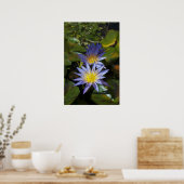 Poster Conception botanique florale de nénuphar tropical (Cuisine)