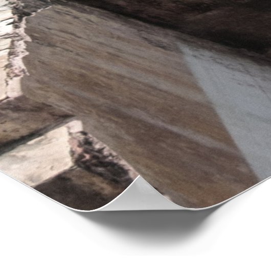 Poster conception Brown du temple (Coin)