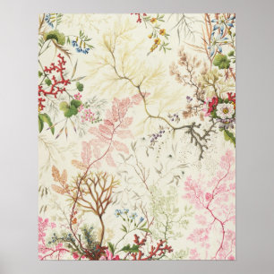 Poster Conception d'algue pour le matériel en soie (la