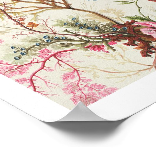 Poster Conception d'algues pour le matériel de soie (p/c  (Coin)