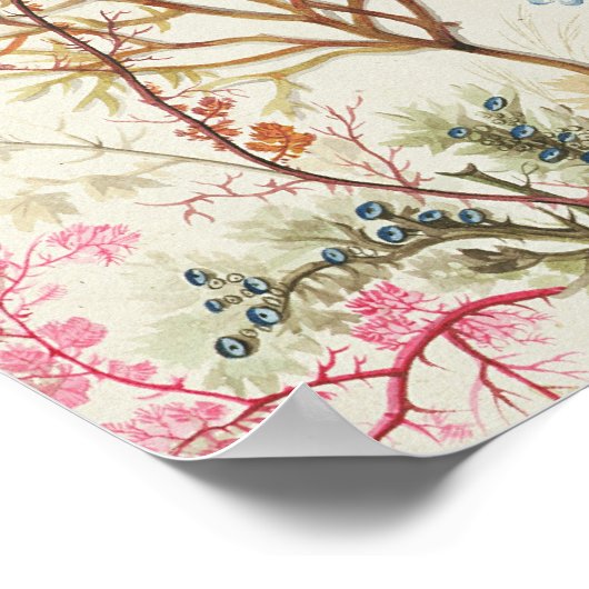 Poster Conception d'algues pour le matériel de soie (p/c  (Coin)