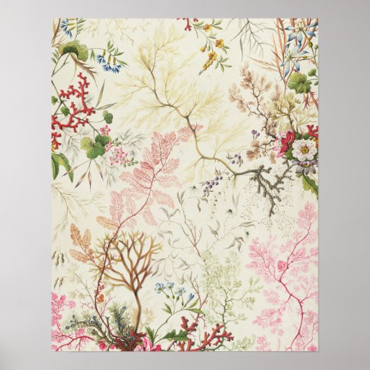 Poster Conception d'algues pour le matériel de soie (p/c (Devant)