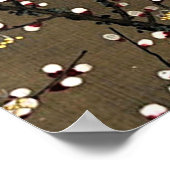 Poster Conception d'art de fleur de cerisier de pleine lu (Coin)