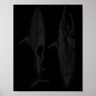 Poster Conception de dérive de planche de surf requin coo