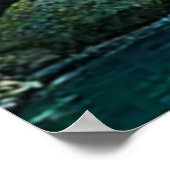 Poster Conception de flux forestiers enchantés (Coin)