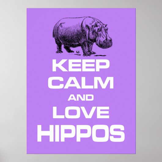 Poster Conception de l'affiche pour hippopotames pour gar (Devant)