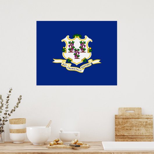 Poster Conception de l'indicateur d'état Connecticut (Cuisine)