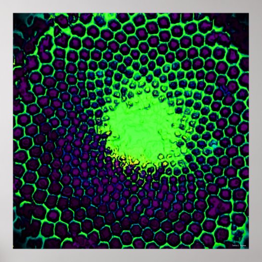 Poster Conception de nid d'abeille abstrait vert et viole (Devant)