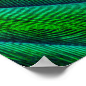 Poster Conception de plume de Quetzal resplendissant (Coin)