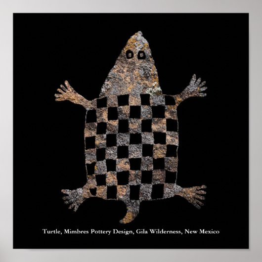 Poster Conception de poterie Mimbres (Devant)