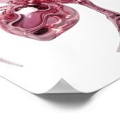 Poster Conception de verre araignée en verre rose vif (Coin)