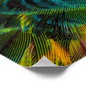 Poster Conception des plumes Kaleidoscope (Coin)