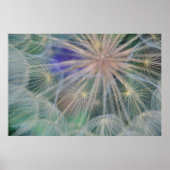 Poster Conception des têtes de semences | Gennesse, Idaho (Devant)