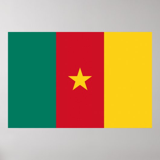 Poster Conception du drapeau du Cameroun (Devant)