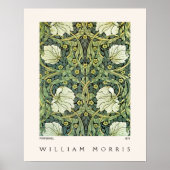 Poster Conception du Pimpernel William Morris Moderne (Devant)