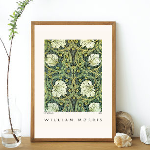 Poster Conception du Pimpernel William Morris Moderne