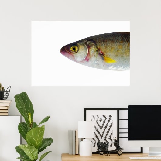 Poster Conception du poisson (Bureau à domicile)