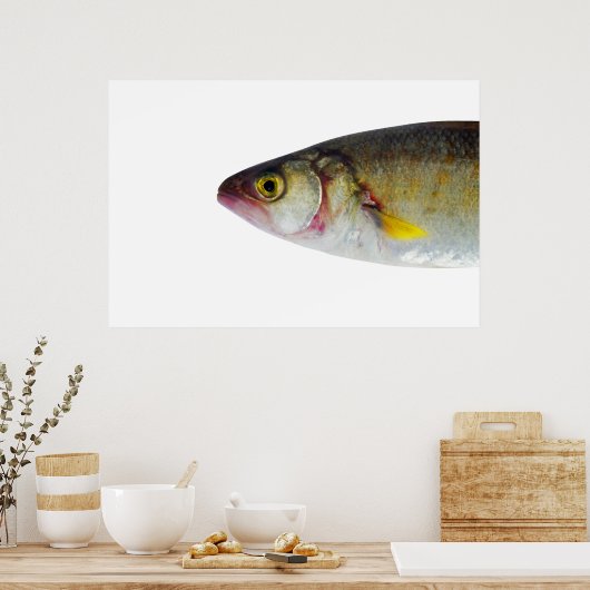 Poster Conception du poisson (Cuisine)