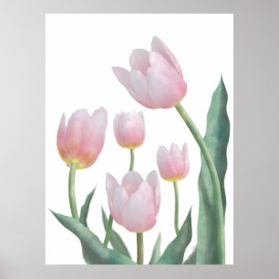 Poster Conception florale de tulipes pastel