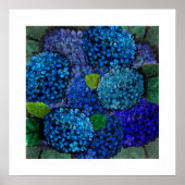 Poster Conception florale Fleur d'hortensia bleue (Devant)
