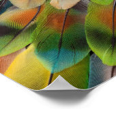 Poster Conception fractale des plumes d'Inséparable (Coin)