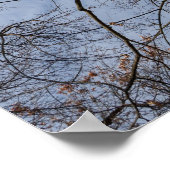 Poster Conception/motif de tronc d'arbre. Pioineer Park, (Coin)