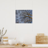 Poster Conception/motif de tronc d'arbre. Pioineer Park, (Cuisine)
