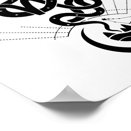 Poster Conception originale pour l'impression Snake 2025, (Coin)