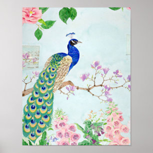 Poster Conception Peacock Amateurs de paon mignon Clo