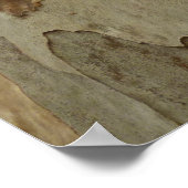 Poster Conception texturée abstraite naturelle d'écorce d (Coin)