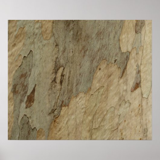 Poster Conception texturée abstraite naturelle d'écorce d (Devant)