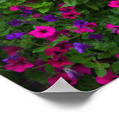 Poster Conceptions de jardin dans notre jardin Sammamish, (Coin)