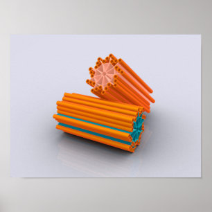 Poster Conceptual Image Of Centrioles 2