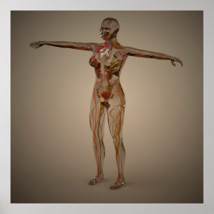 Poster Conceptual Image Of Human Nervous System 2