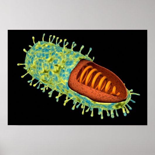 Poster Conceptual Image Of Rabies Virus 3 (Devant)