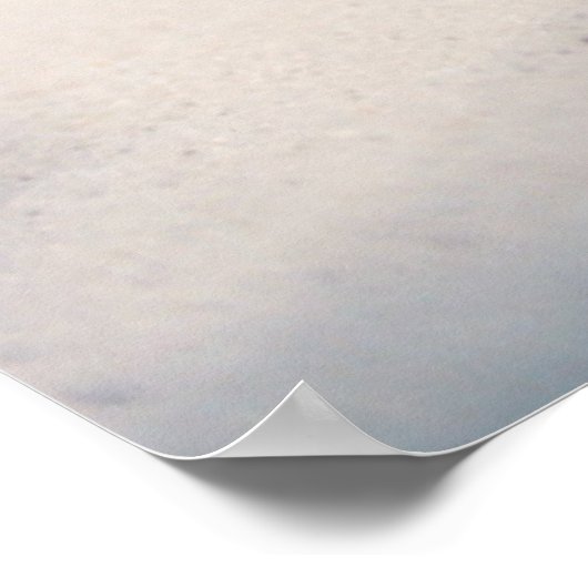 Poster Conch Shell (Coin)