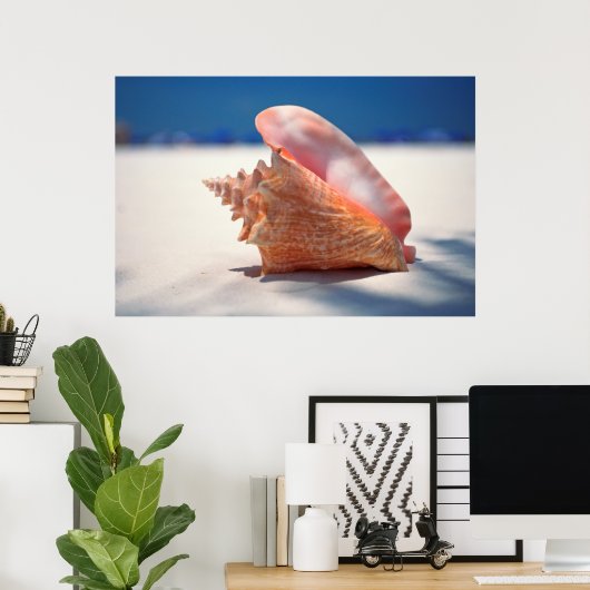 Poster Conch Shell (Bureau à domicile)