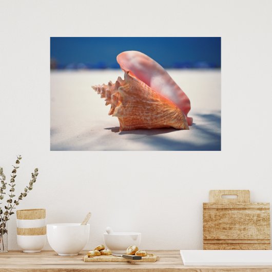 Poster Conch Shell (Cuisine)