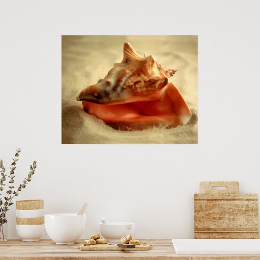 Poster Conche (Cuisine)