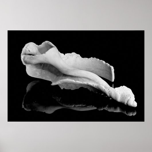 Poster Conche météo (Devant)