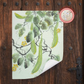Poster Concombre Chinois