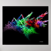Poster Concombre maritime 2 (Devant)
