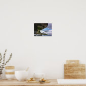 Poster Concorde (Cuisine)