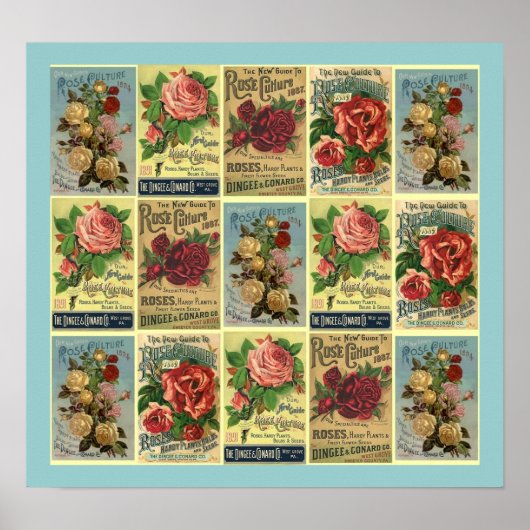 POSTER ~CONÇU À PARTIR DU GUIDE CULTUREL ROSE VINT (Devant)