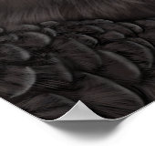 Poster Condor andin illustré (Coin)