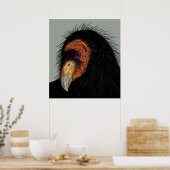 Poster Condor de Californie (Cuisine)