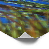 Poster Condor de Californie (Coin)