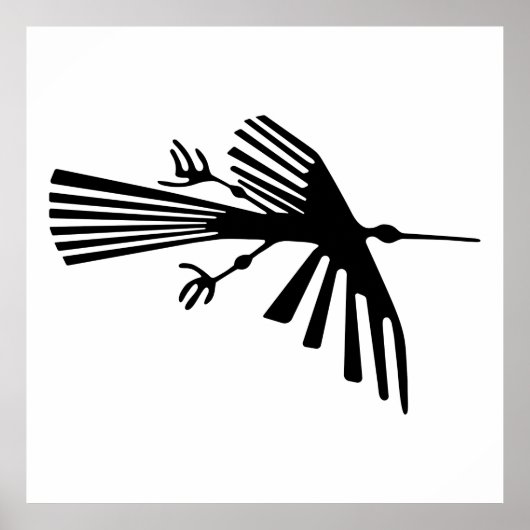 Poster Condor de Nazca (Devant)