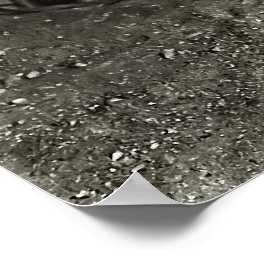 Poster CONDUCTEURS MULE dans MINE DE CHARBON 1908 (Coin)