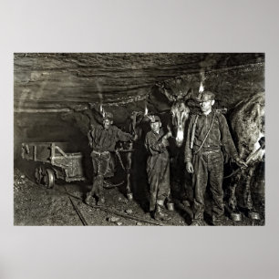 Poster CONDUCTEURS MULE dans MINE DE CHARBON 1908